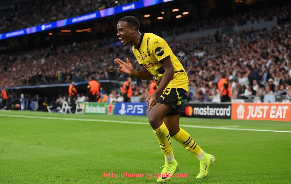 球盟会官网-2025年德甲各大球队主场球场全景图解与容量比较