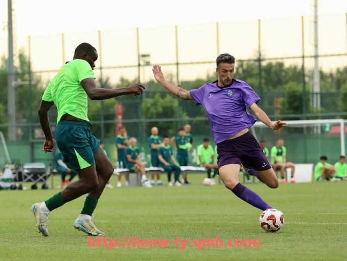 球盟会官网-法甲赛季预测分析：球队战力排名与冠军争夺走势